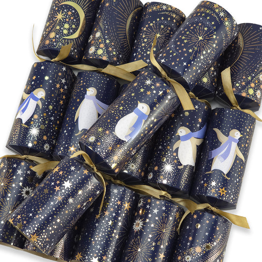 Penguin Sparkle | 6 Sara Miller Christmas Crackers | Plastic Free Gifts