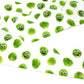 Googly Sprout Adjustable Paper Cracker Hats for DIY Cracker Making