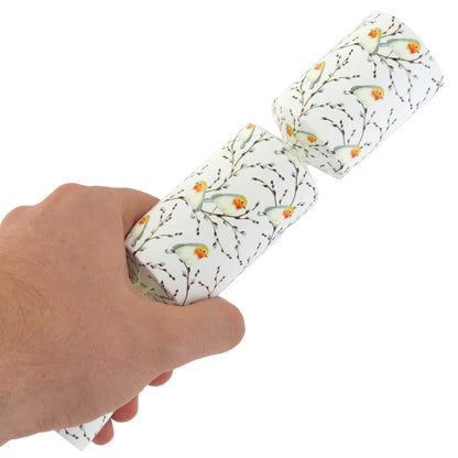 6 Small Willow & Robin Christmas Favour Cracker Making Kit | Make and Fill Your Own