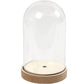 Plastic Bell Jar Cloche on Wooden Stand & LED Lights for Crafts - Choice of Sizes