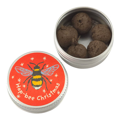 Mini Tin of 5 Seedballs for Bees | Christmas Design | Cracker Filler | Mini Gift