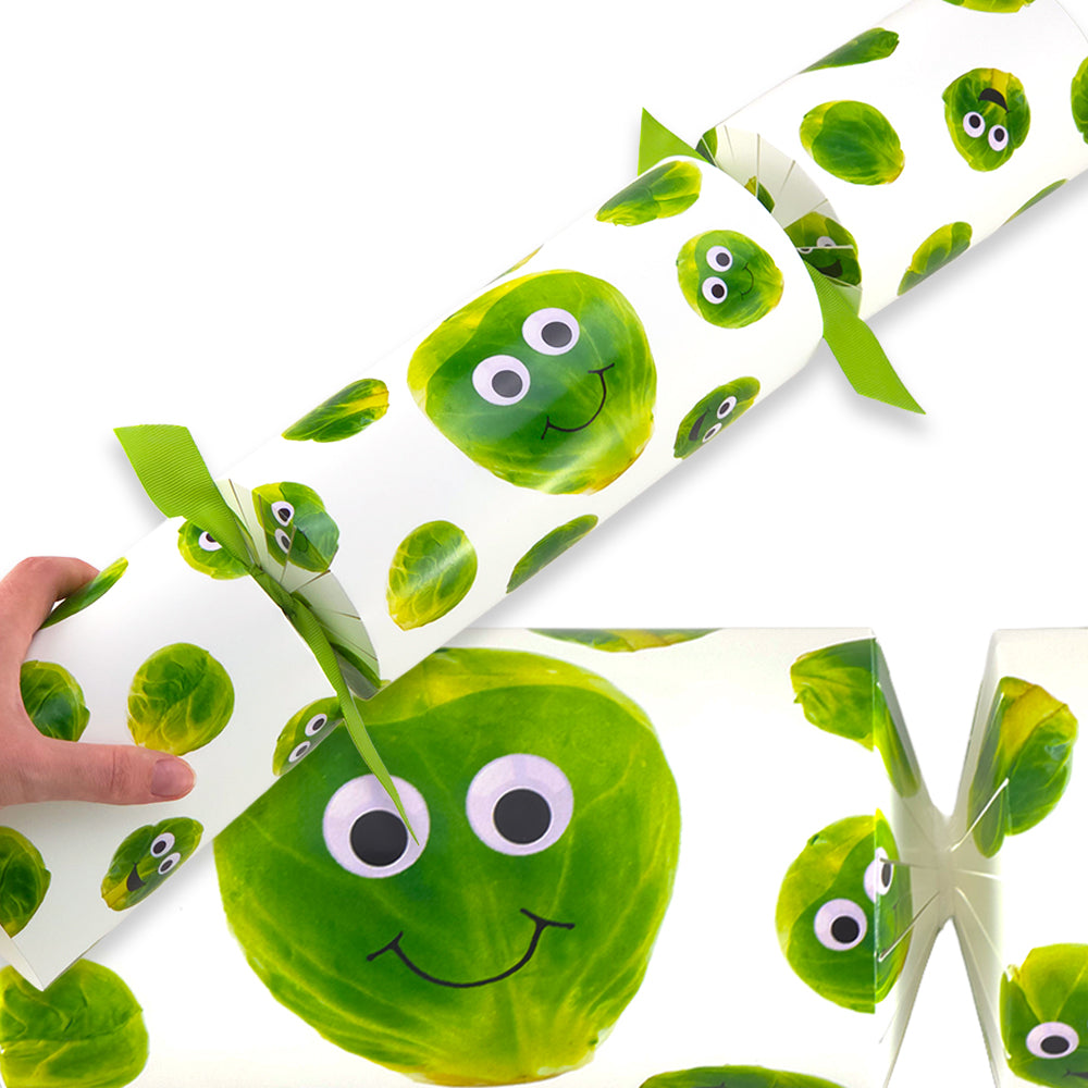 Extra Large & Jumbo | Reusable Keepsake DIY Cracker Sets | Googly Sprouts
