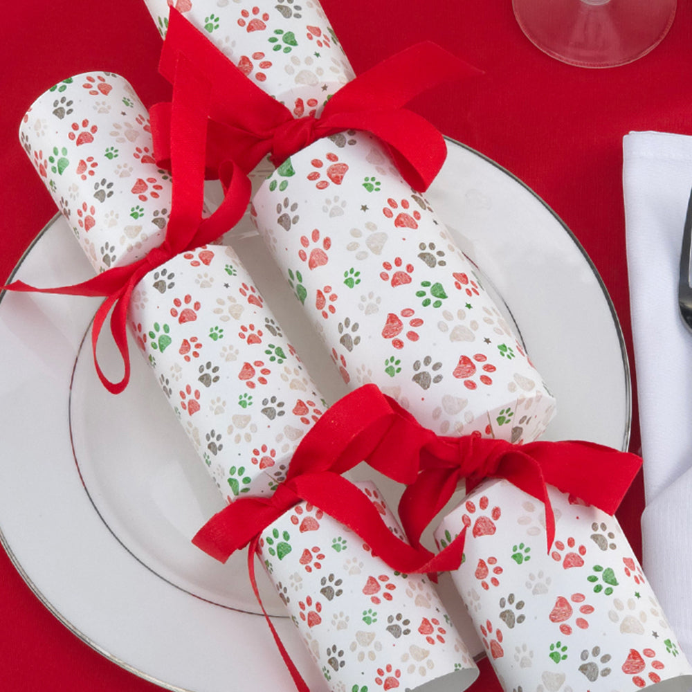 Christmas Cracker Making Craft Kits | Makes 6 Crackers | Big Choice of Designs