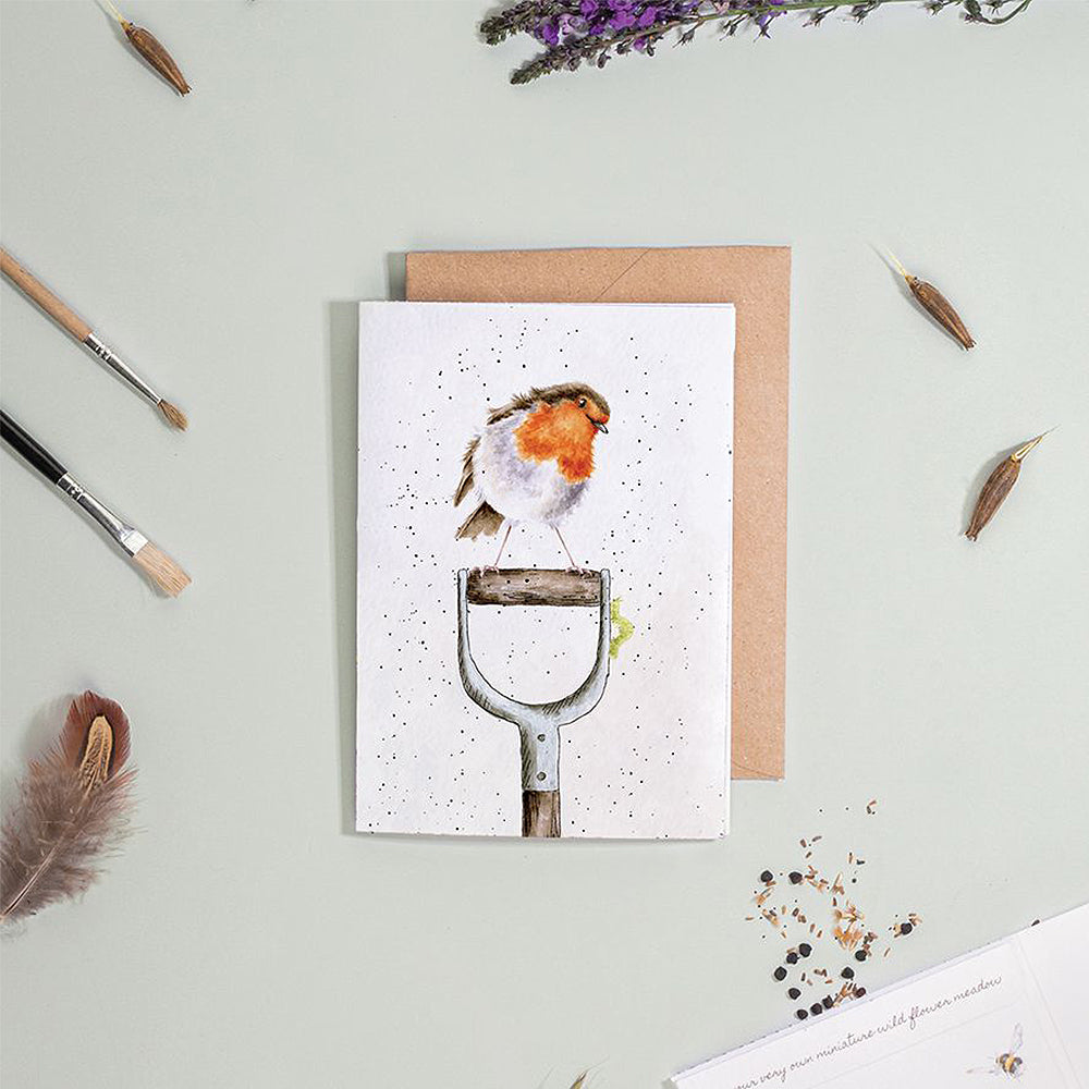 Gardeners Robin | Blank Card & Wild Flower Seeds | 10.5x15cm | Wrendale Designs