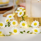 Fabric Daisy | Light Up LED Garland | 1.4m Long | 15 Lights