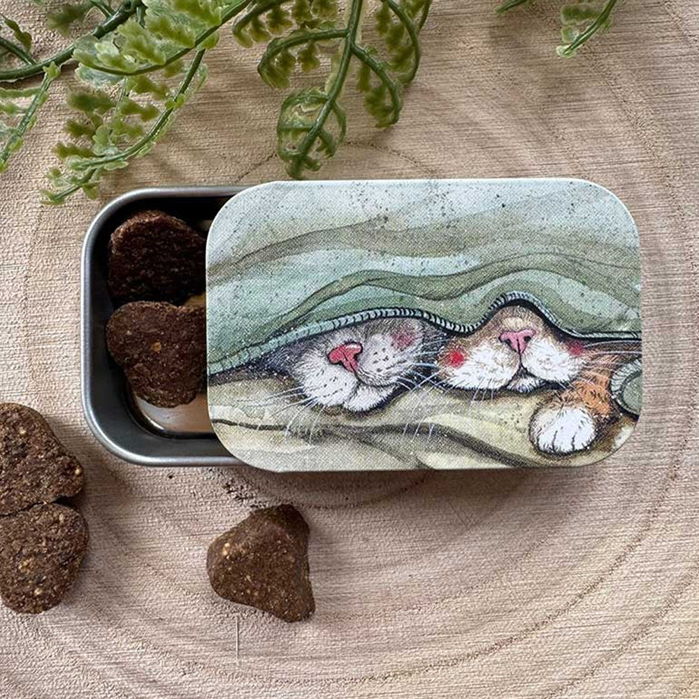 Cute Cat's Whiskers | Little Slide Shut Tin to Fill | Cracker Filler Gift