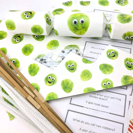 10 Googly Sprout Complete Basic Christmas Cracker Making Kit with Pipecleaners & Eyes