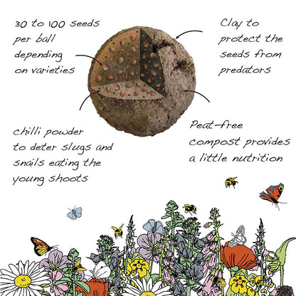 Forget Me Nots | Luxury Tube of 20 Seedballs | Cracker Filler | Little Gift