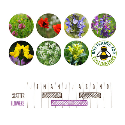 Hedgehog Mix  | Tin of 20 Wildflower Seedballs | Gift Idea | Little Gift