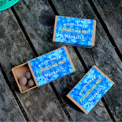 Forget Me Nots | Matchbox of 6 Seedballs | Cracker Filler | Mini Gift