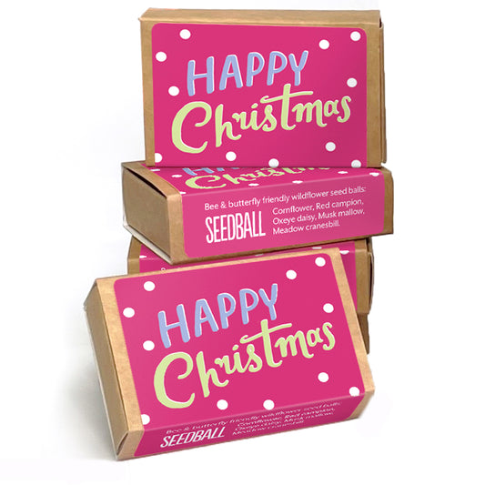 Happy Christmas | Seed Bomb Matchbox | Cracker Filler | Mini Gift
