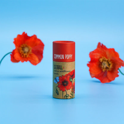 Poppy Seeds | Luxury Tube of 20 Seedballs | Cracker Filler | Little Gift