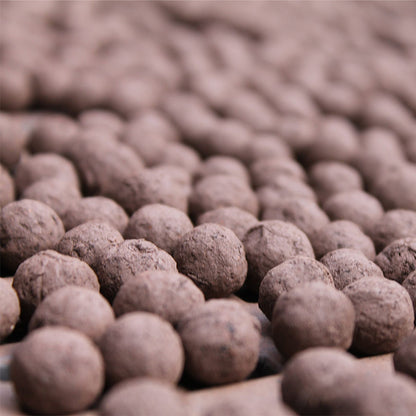 Forget Me Nots | Luxury Tube of 20 Seedballs | Cracker Filler | Little Gift