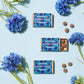 Cornflowers | Seed Bomb Matchbox | Cracker Filler | Mini Gift