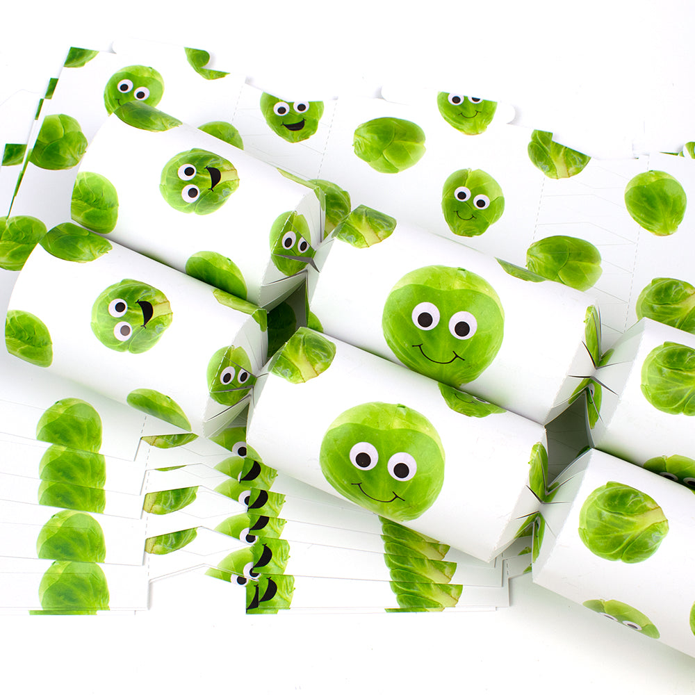 Googly Sprouts Christmas Cracker Making Kits - Make & Fill Your Own