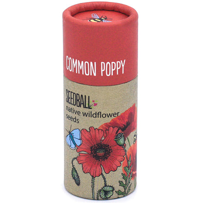 Poppy Seeds | Luxury Tube of 20 Seedballs | Cracker Filler | Little Gift