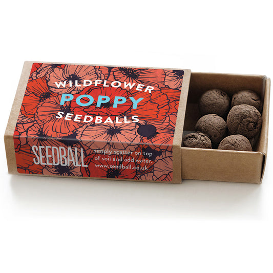 Poppy Seeds | Seed Bomb Matchbox | Cracker Filler | Mini Gift