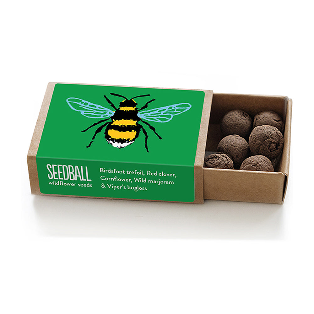 Bee Friendly Plants | Seed Bomb Matchbox | Cracker Filler | Mini Gift