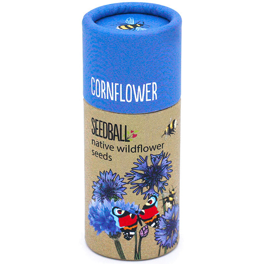 Cornflowers | Luxury Tube of Seedballs | Cracker Filler | Little Gift