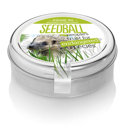 Hedgehog Mix  | Tin of 20 Wildflower Seedballs | Gift Idea | Little Gift