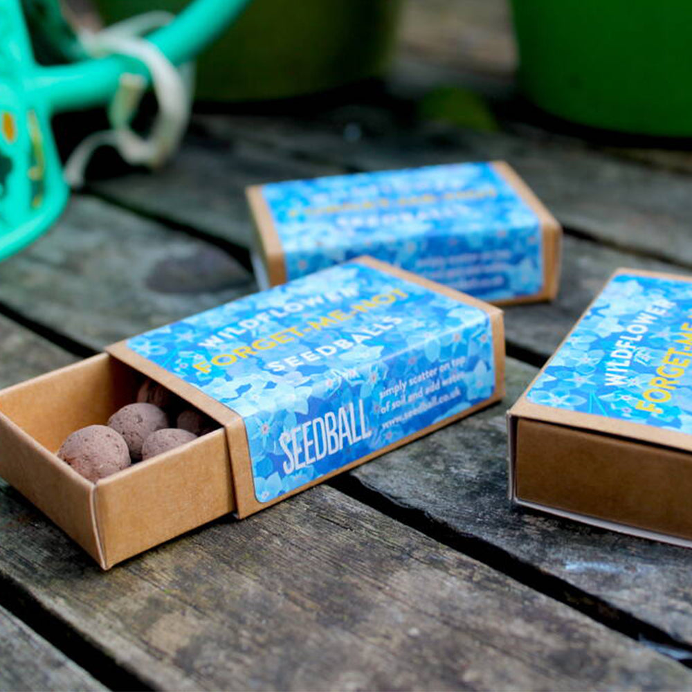 Forget Me Nots | Seed Bomb Matchbox | Cracker Filler | Mini Gift