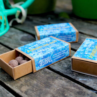 Forget Me Nots | Matchbox of 6 Seedballs | Cracker Filler | Mini Gift
