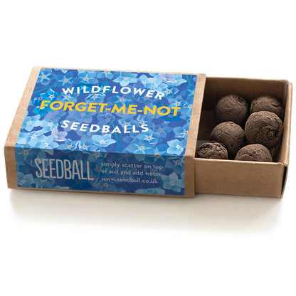Forget Me Nots | Matchbox of 6 Seedballs | Cracker Filler | Mini Gift