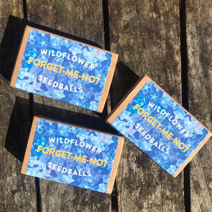 Forget Me Nots | Matchbox of 6 Seedballs | Cracker Filler | Mini Gift
