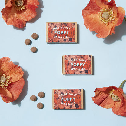 Poppy Seeds | Matchbox of 6 Seedballs | Cracker Filler | Mini Gift