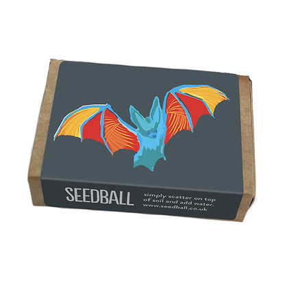 Bat Friendly Plants | Matchbox of 6 Seedballs | Cracker Filler | Mini Gift