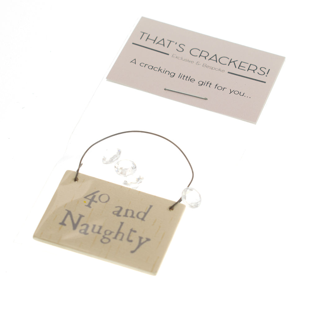 40 and Naughty Mini Plaque Hanger & Sparkles Bag | Cracker Filler | Mini Gift